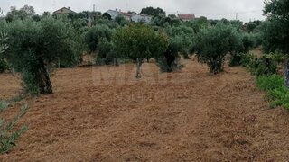 Land for sale in Abrantes, Portugal — €22,000