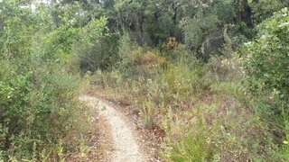 Land for sale in Torres Novas, Portugal — €60,000