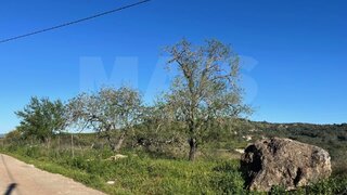 Land for sale in Silves, Portugal — €90,000