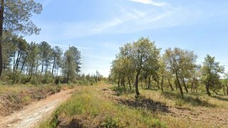 Land for sale in Abrantes, Portugal — €6,750