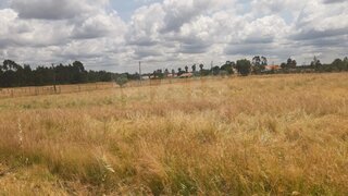 Land for sale in Benavente, Portugal — €685,000