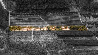 Terreno · 15 000 m² · 250 000 €