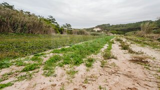 Land for sale in Peniche, Portugal — €50,000