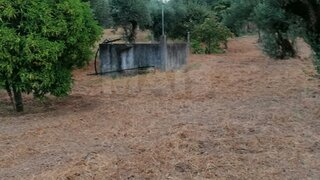 Terreno em Abrantes · 3720 m² · 22 000 €