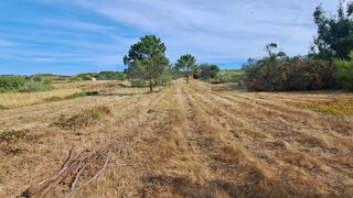 Land for sale in Alcobaça, Portugal — €98,000