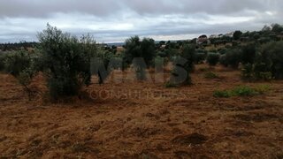 Land for sale in Abrantes, Portugal — €7,000