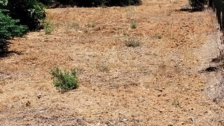 Terreno · 25 000 m² · 398 000 €