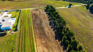 Land for sale in Bombarral, Portugal — €24,500