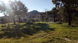Land for sale in Idanha-a-Nova, Portugal — €25,000