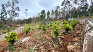 Land for sale in Ponta do Sol, Portugal — €65,000