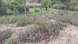 Terreno · 9670 m² · 600 000 €