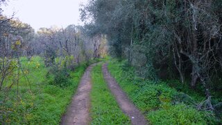 Land for sale in Silves, Portugal — €250,000