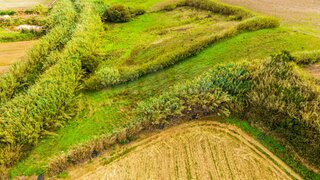 Terreno em Peniche