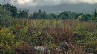 Land for sale in Alcobaça, Portugal — €69,000