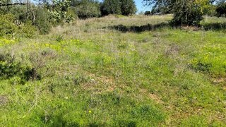 Terreno de 8385 m² em Faro