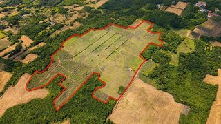 Land for sale in Madalena, Portugal — €975,000