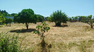 Land for sale in Moita, Portugal — €160,000