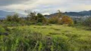 Land for sale in Ponte de Lima, Portugal — €85,000