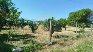 Terreno · 753 m² · 160 000 €