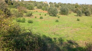 Land for sale in Tomar, Portugal — €15,000