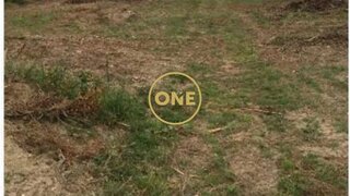Terreno para venda em Vila Verde, Portugal — 480 000 €