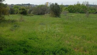 Terreno em Tomar · 40 040 m² · 60 000 €