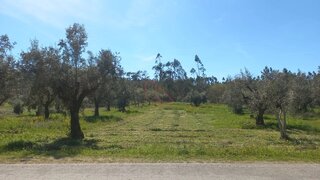 Land for sale in Ourém, Portugal — €65,000