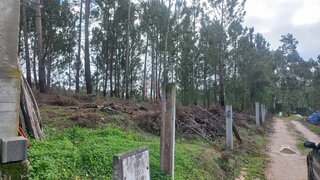 Terreno · 5000 m² · 45 000 €