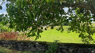 Land for sale in Ribeira Grande, Portugal — €60,000