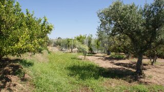 Land for sale in Idanha-a-Nova, Portugal — €15,000