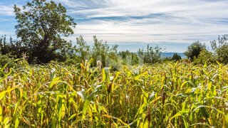 Land for sale in Covilhã, Portugal — €60,000