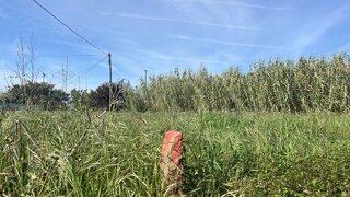 Land for sale in Esposende, Portugal — €83,000