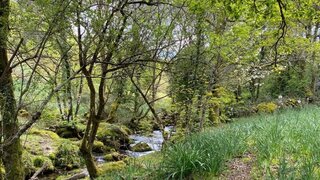 Land for sale in Ponte da Barca, Portugal — €30,000