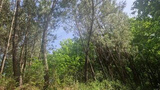Land for sale in Vila Nova de Cerveira, Portugal — €10,000