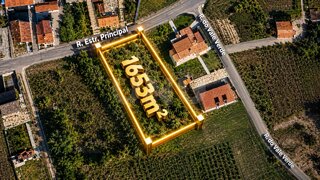 Land for sale in Anadia, Portugal — €55,000