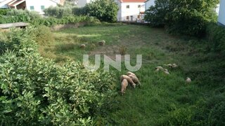 Land for sale in Covilhã, Portugal — €45,000