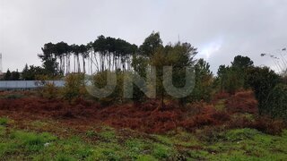 Terreno de 5460 m² em Viseu