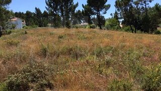 Terreno de 1445 m² em Viana do Castelo