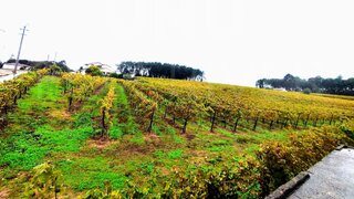 Land for sale in Monção, Portugal — €493,000