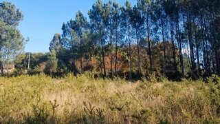 Land for sale in Valença, Portugal — €100,000