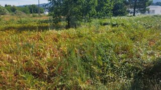 Land for sale in Valença, Portugal — €210,000