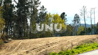 Terreno em Vouzela
