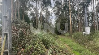 Land for sale in Ovar, Portugal — €35,750