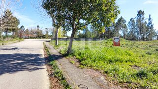 Land for sale in Castelo Branco, Portugal — €24,900