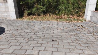 Terreno em Sátão