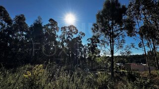 Land for sale in Valença, Portugal — €55,000
