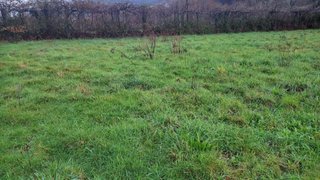 Land for sale in Arcos de Valdevez, Portugal — €35,000