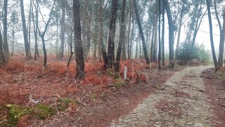 Land for sale in Vila Nova de Cerveira, Portugal — €40,000