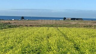 Land for sale in Viana do Castelo, Portugal — €110,000