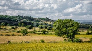 Terreno em Belmonte